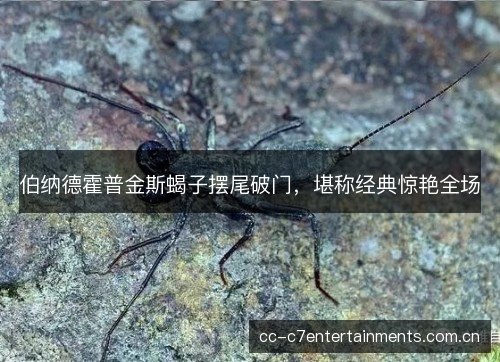 伯纳德霍普金斯蝎子摆尾破门，堪称经典惊艳全场